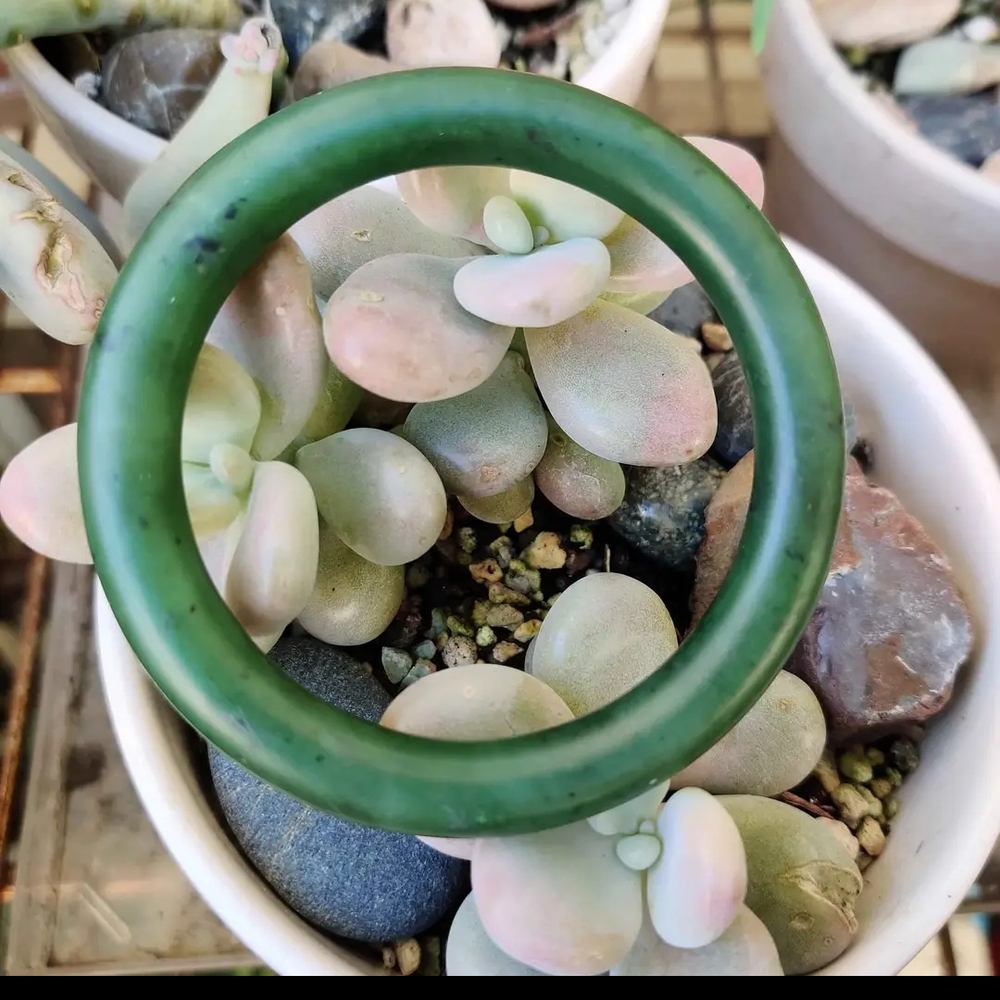 55mm  Natural Real Jade Bracelet
